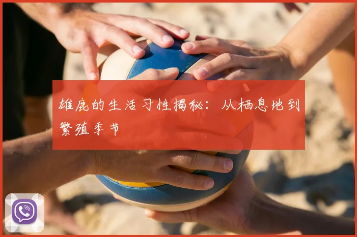 雄鹿的生活习性揭秘：从栖息地到繁殖季节